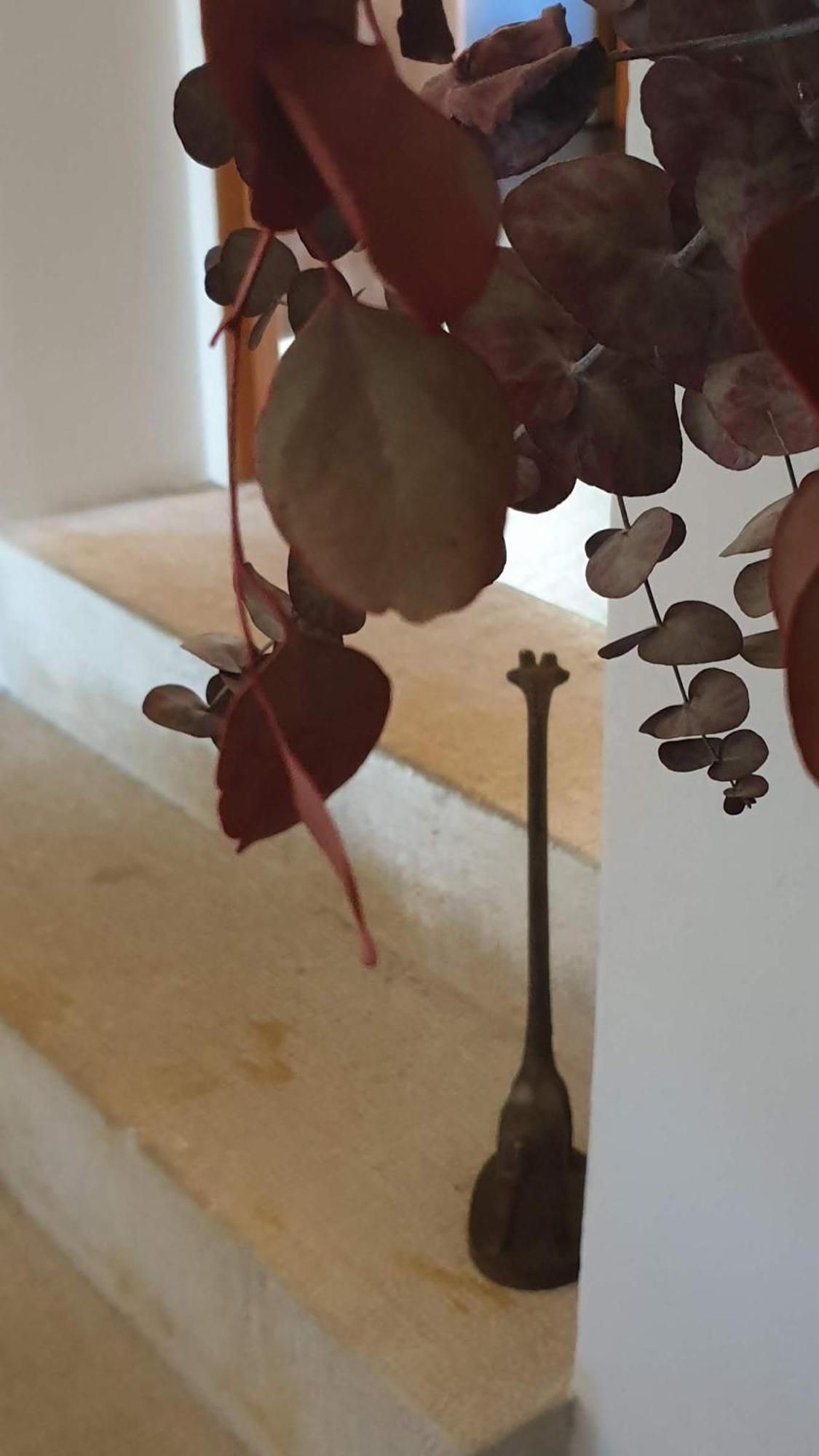 パルス Mas Ferran Adults Only Bed & Breakfast エクステリア 写真