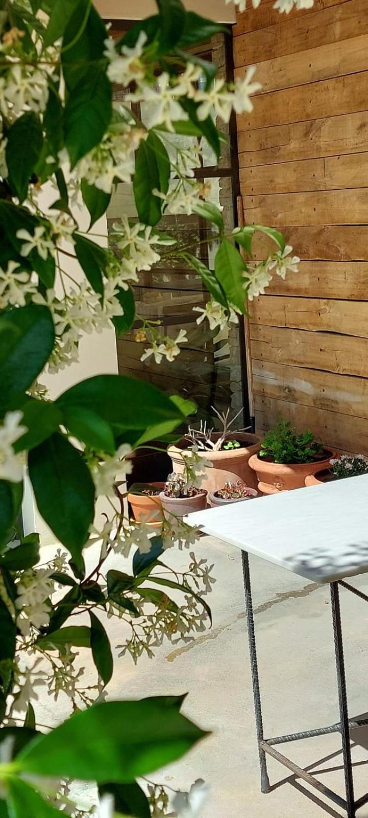 パルス Mas Ferran Adults Only Bed & Breakfast エクステリア 写真