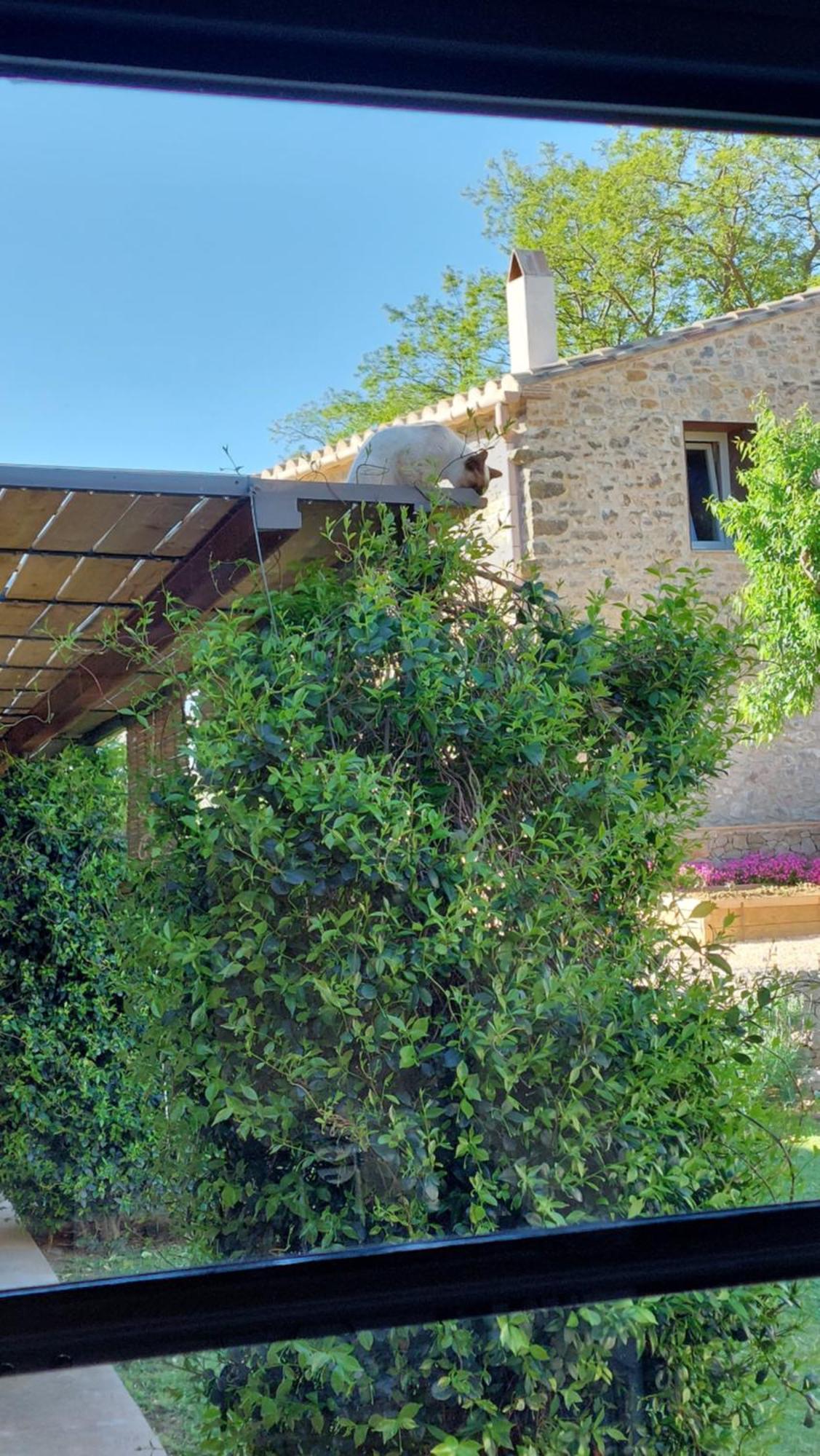 パルス Mas Ferran Adults Only Bed & Breakfast エクステリア 写真